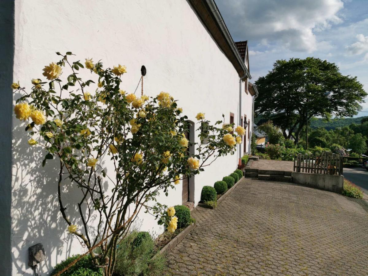 Ferienhaus Vulkaneifel Landhaus Loogh Kerpen  Екстериор снимка